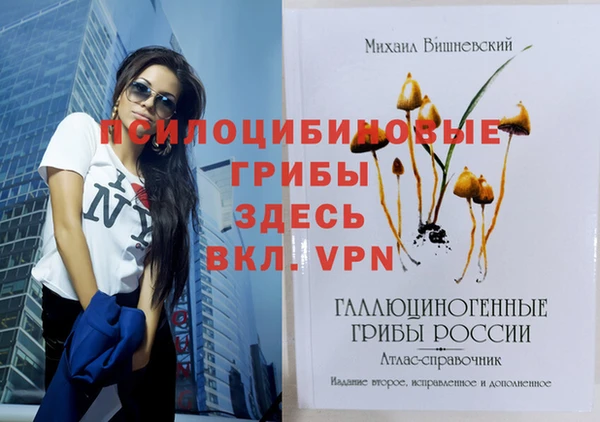 винт Бородино
