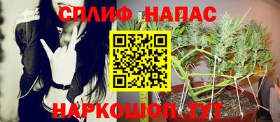 кокс Бийск