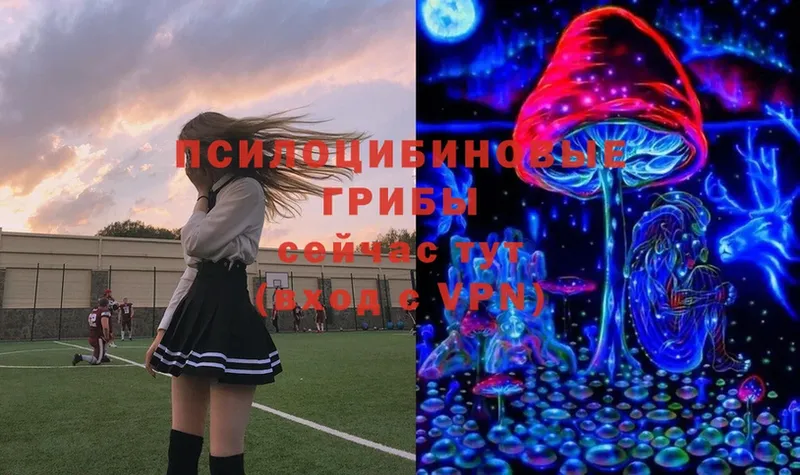 Псилоцибиновые грибы Magic Shrooms  Выкса 