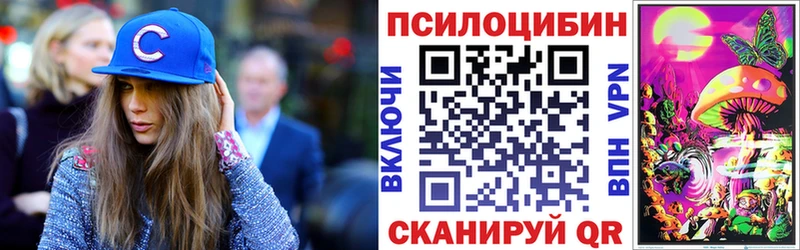 как найти наркотики  Выкса  Псилоцибиновые грибы Psilocybine cubensis 