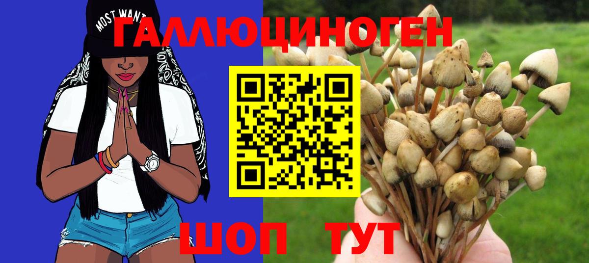Галлюциногенные грибы ЛСД  Выкса 